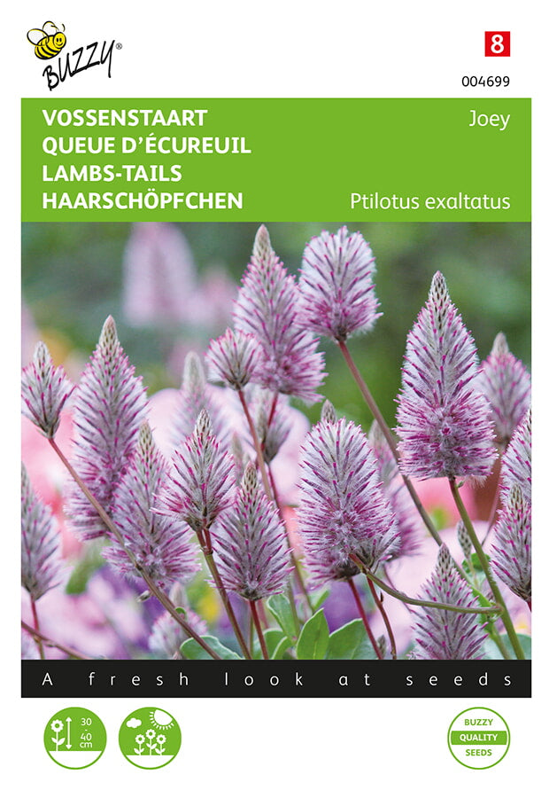 Buzzy Seeds Haarschöpfchen Joey