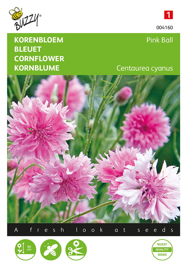 Buzzy Seeds Kornblume Pink Ball