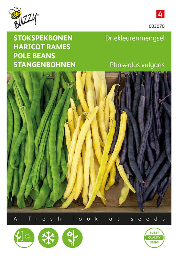 Buzzy Seeds Stangenbohnen 3 Farben Mischung