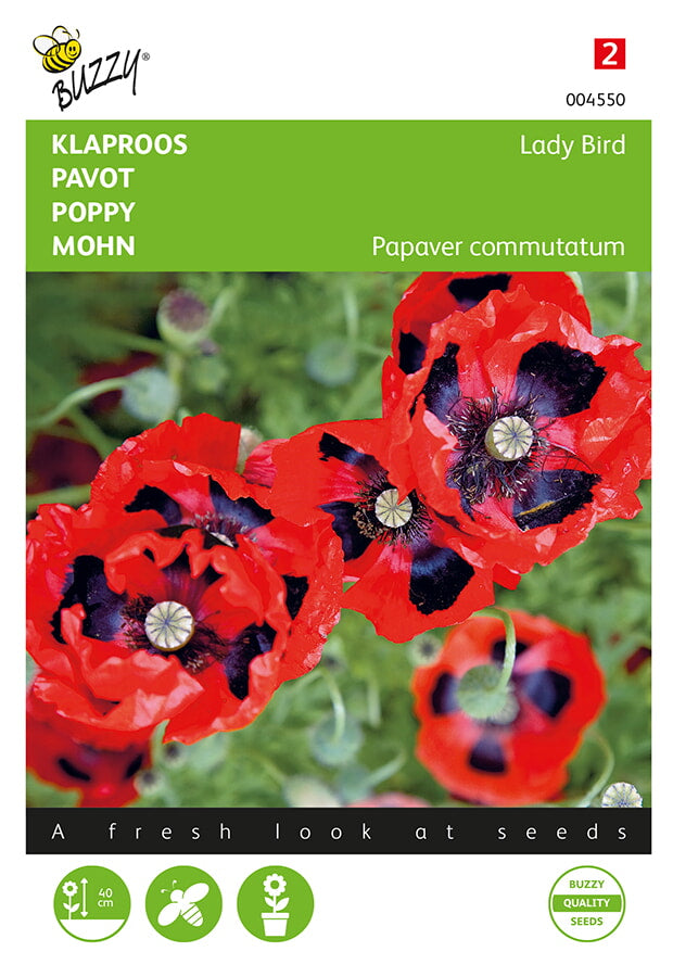 Buzzy Seeds Mohn Lady Bird