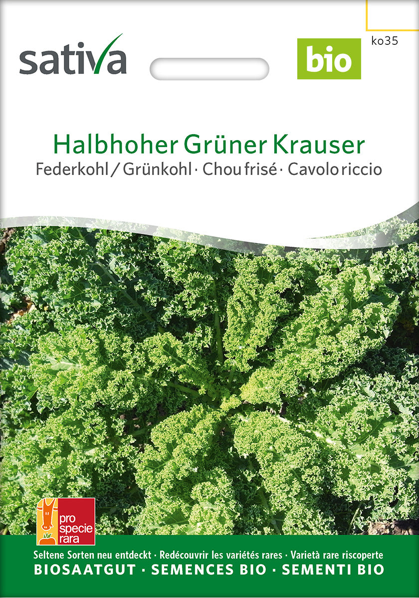 Sativa Federkohl / Grünkohl Halbhoher Grüner Krauser