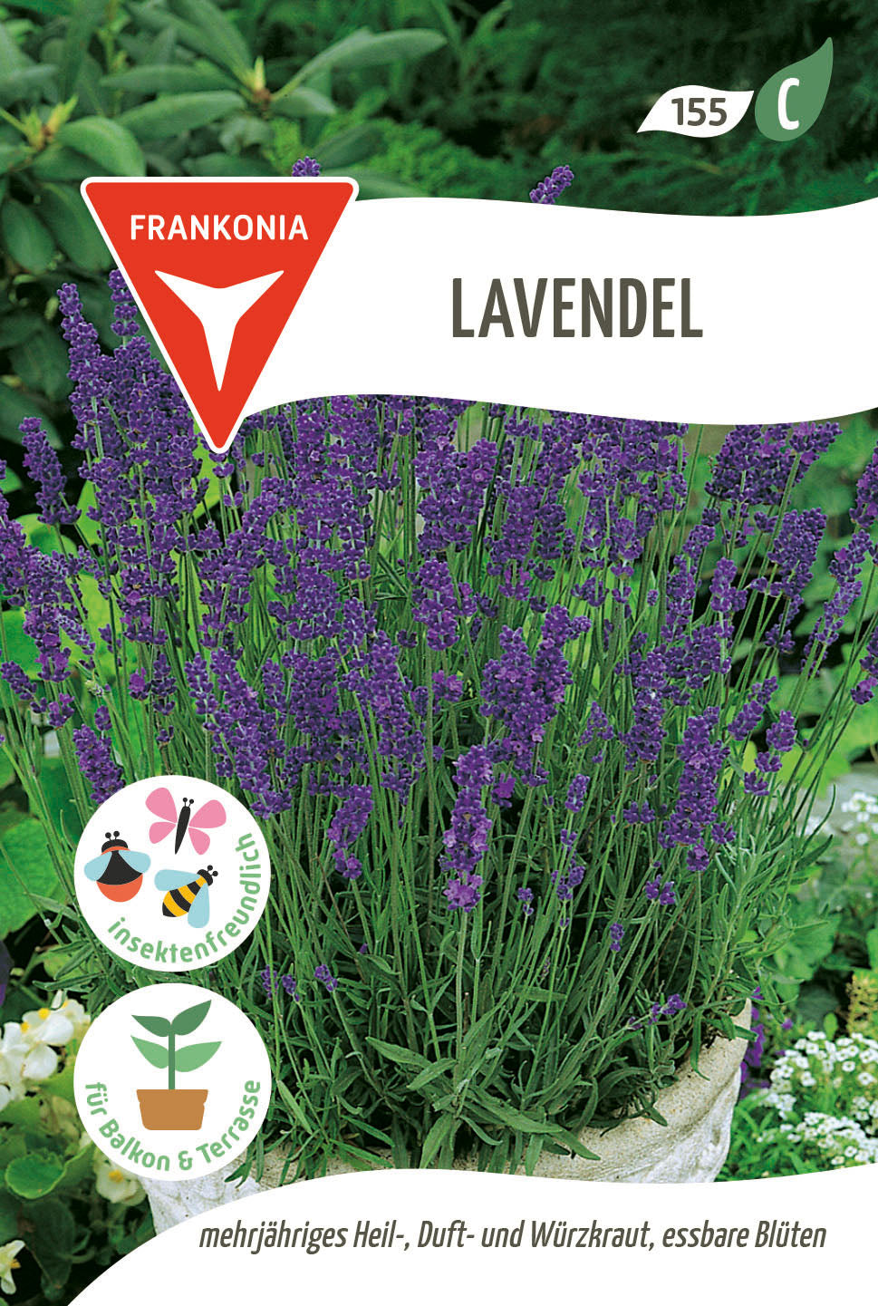 Frankonia Samen Lavendel
