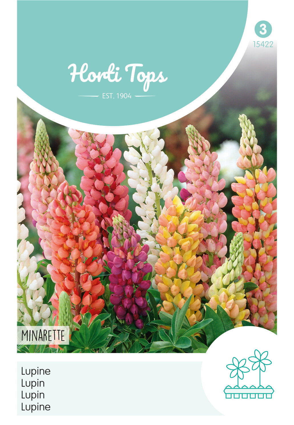 Horti Tops Vielblättrige Lupine Minarette Mischung