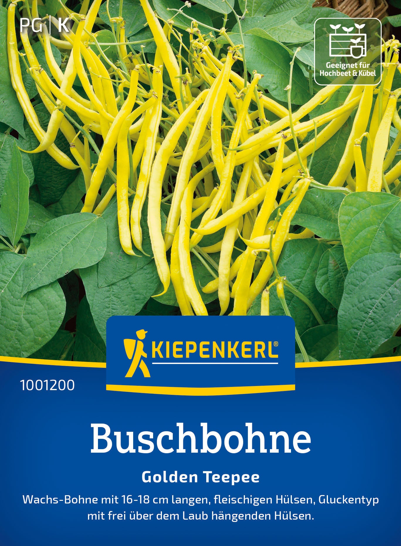 Kiepenkerl Buschbohnen Golden Teepee