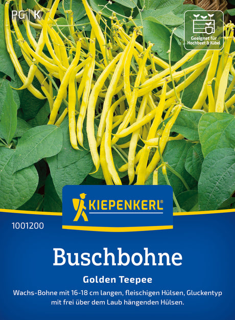 Kiepenkerl Buschbohnen Golden Teepee