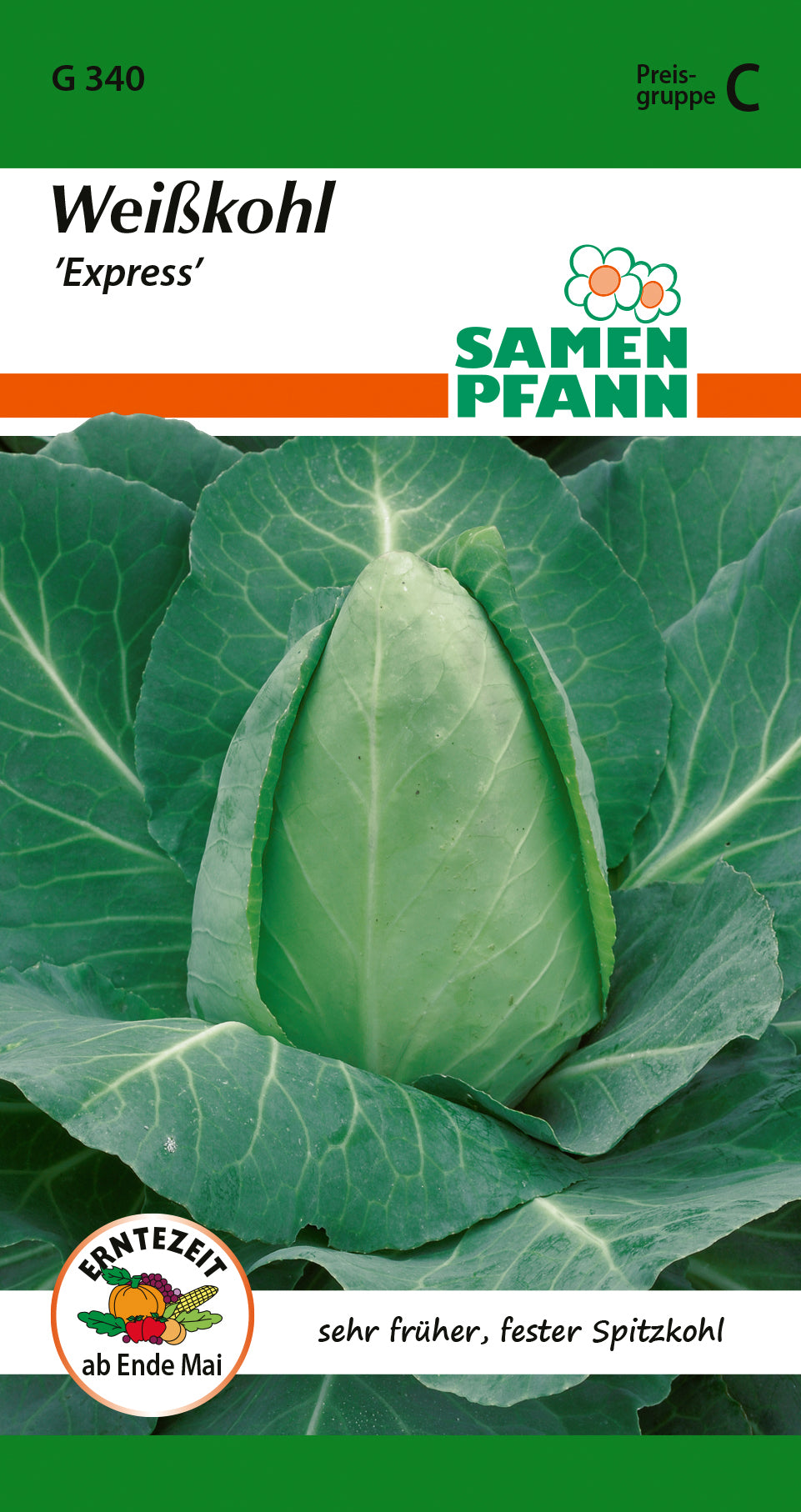 Samen Pfann Weißkohl Express