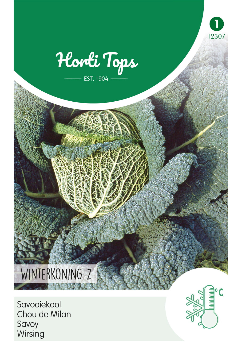 Horti Tops Wirsing Winterfürst 2