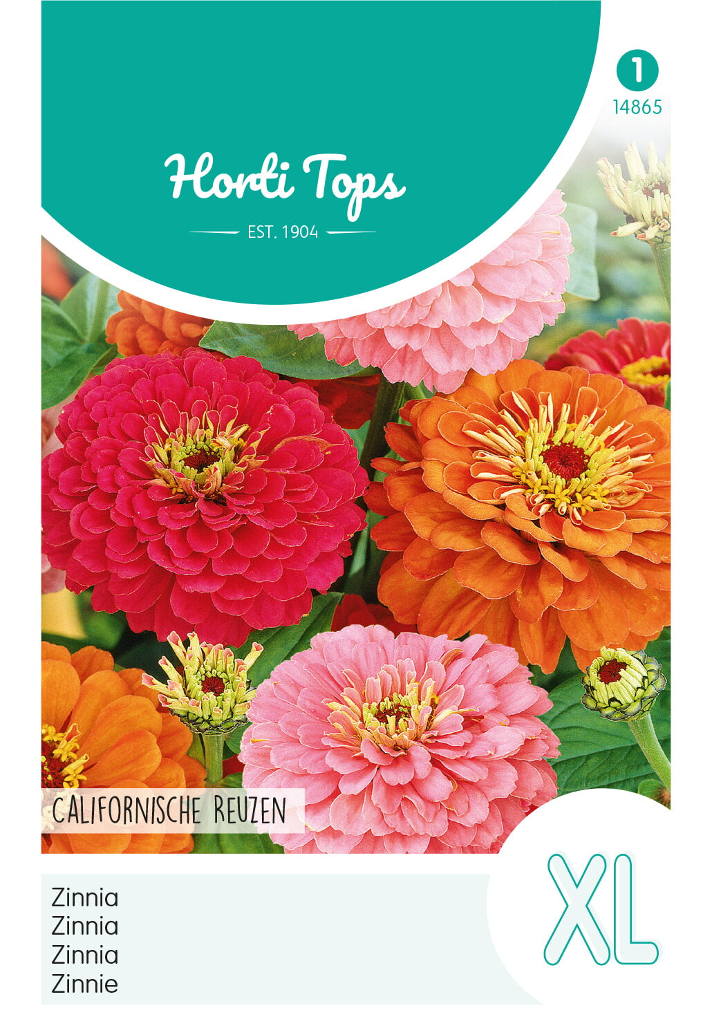 Horti Tops Zinnie Elegans Kalifornische Riesen Mischung