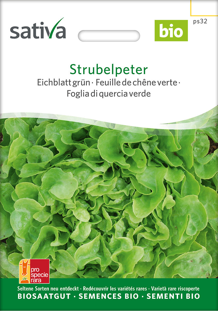 Sativa Eichblatt grün Strubelpeter