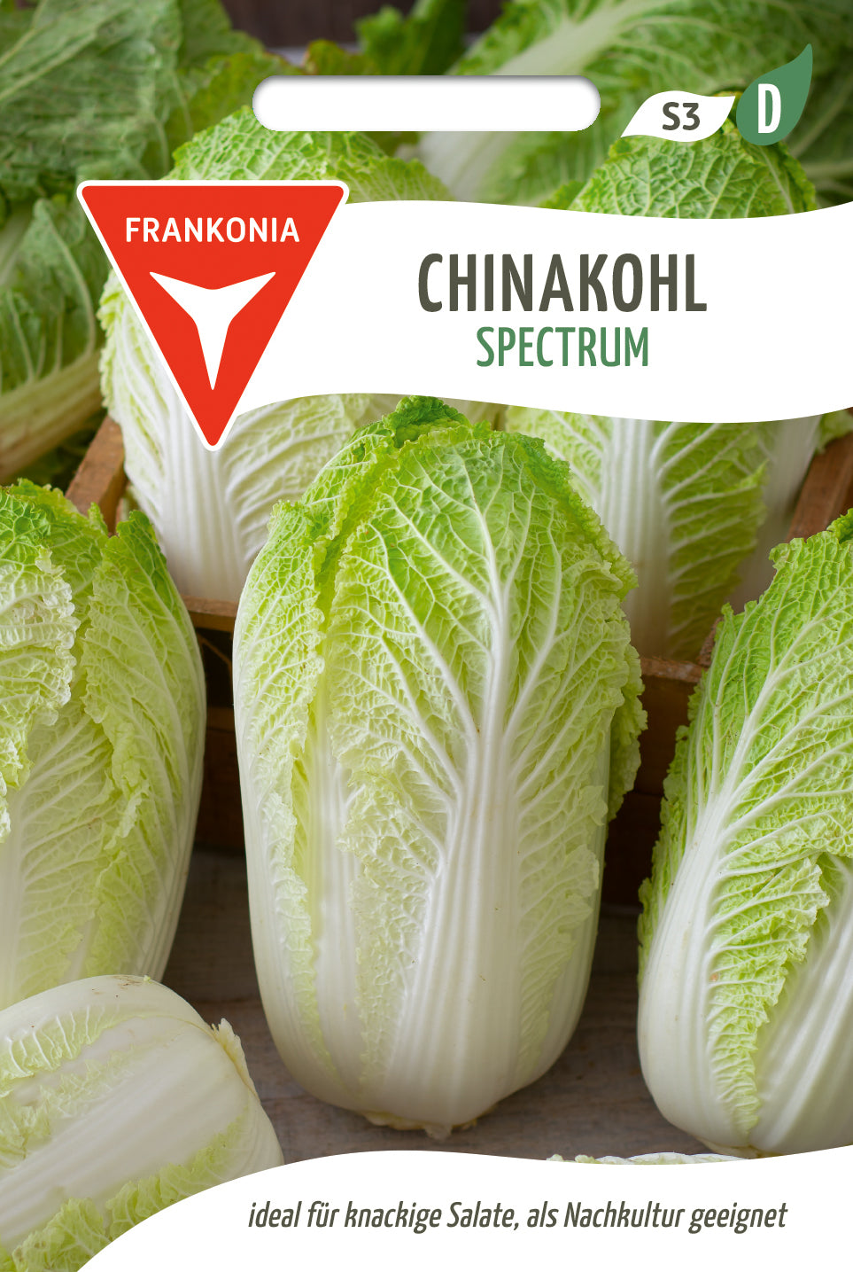 Frankonia Samen Chinakohl SPECTRUM