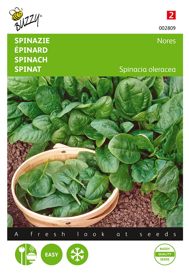 Buzzy Seeds Spinat Nores