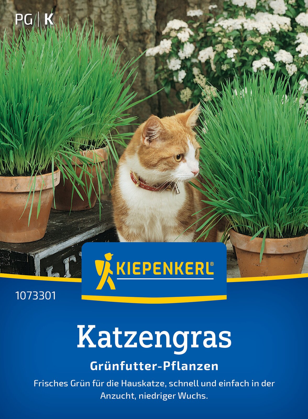 Kiepenkerl Gräser Katzengras Frischgrün Mischung Loses Saatgut