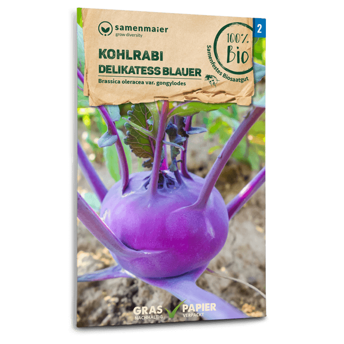 Samen Maier BIO Kohlrabi Delikatess blauer