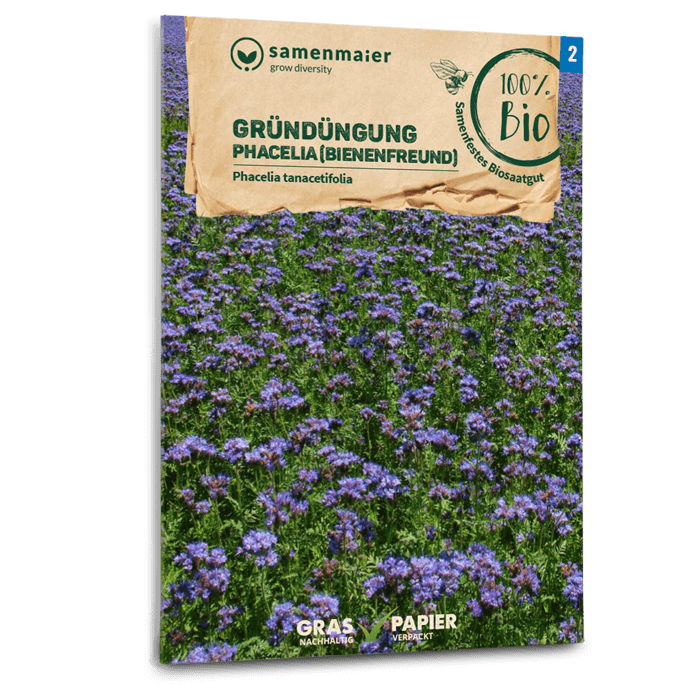 Samen Maier BIO Gründüngung Phacelia