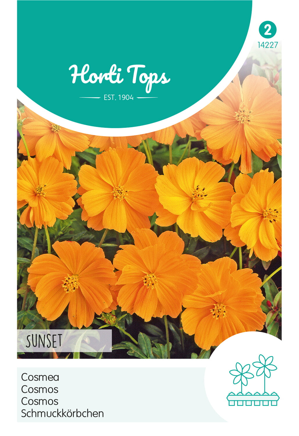 Horti Tops Kosmee Sulphureus Sunset, Orange