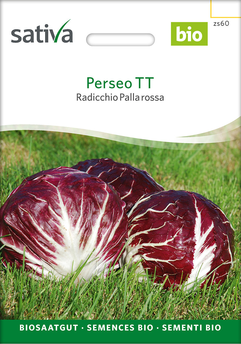 Sativa Radicchio Palla rossa Perseo TT