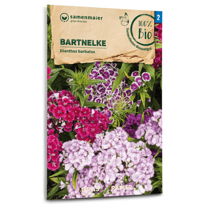 Samen Maier BIO Bartnelke einfache Mischung