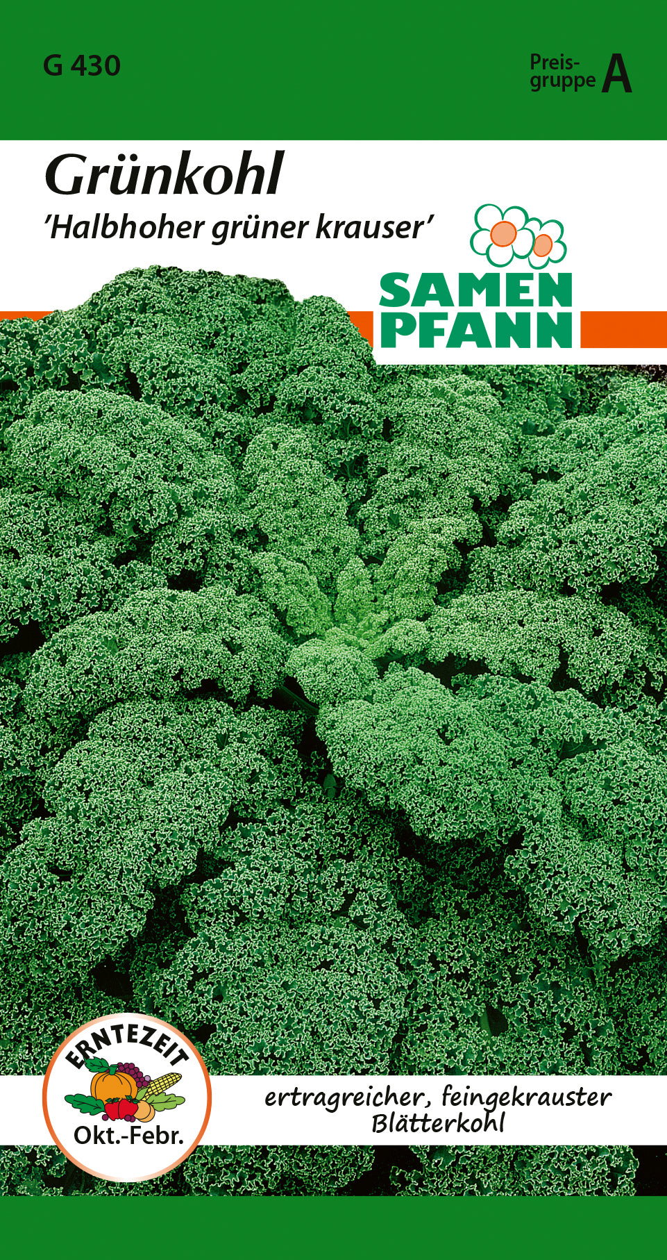 Samen Pfann Grünkohl Halbhoher grüner krauser