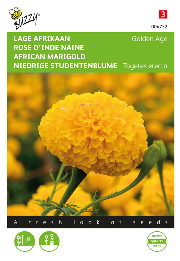 Buzzy Seeds Studentenblumen Golden Age niedrige