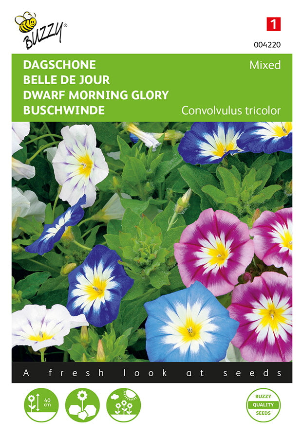 Buzzy Seeds Buschwinden Mischung