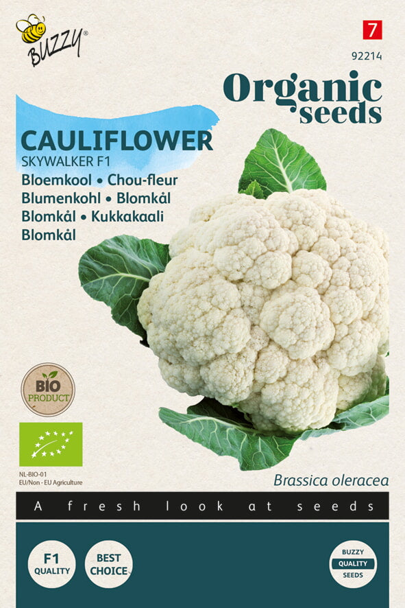 Buzzy Organic Seeds BIO Blumenkohl Goodman