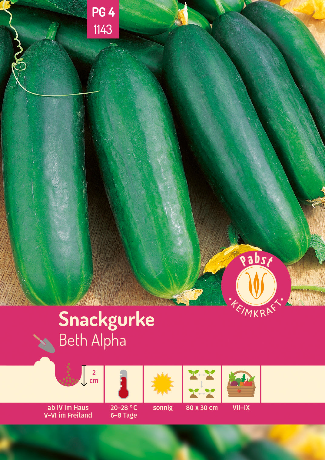 Pabst Keimkraft Snackgurken Beth Alpha