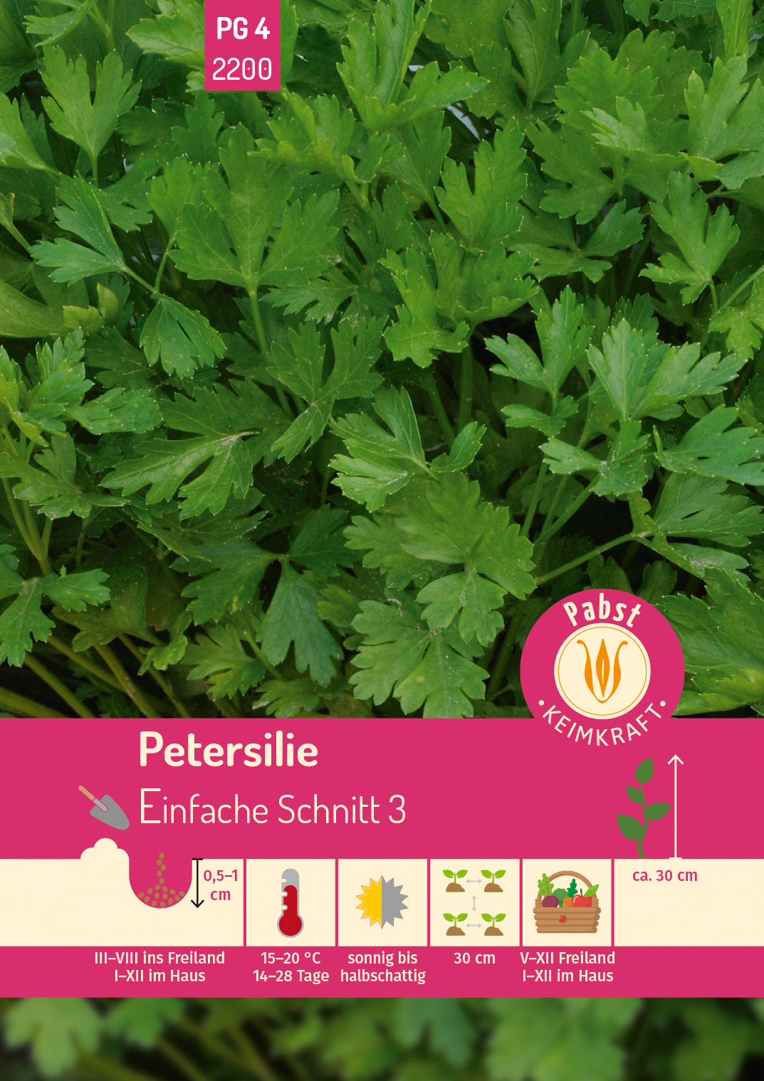 Pabst Keimkraft Petersilien Einfache Schnitt 3