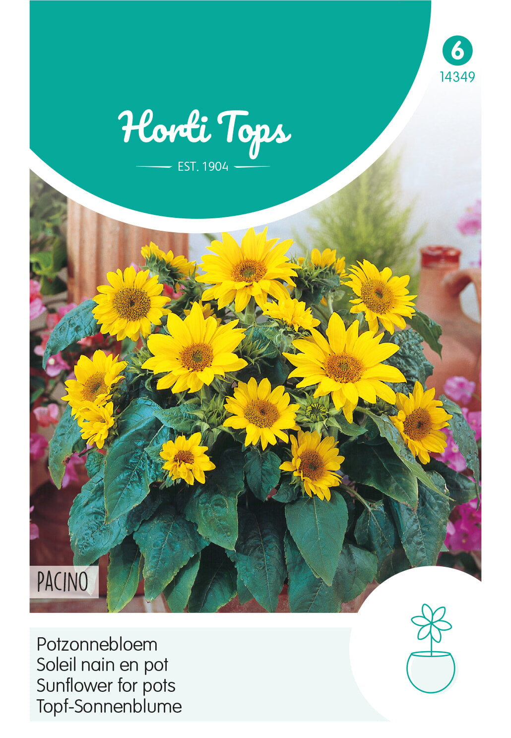Horti Tops Sonnenblume Top-Sonnenblume Pacino