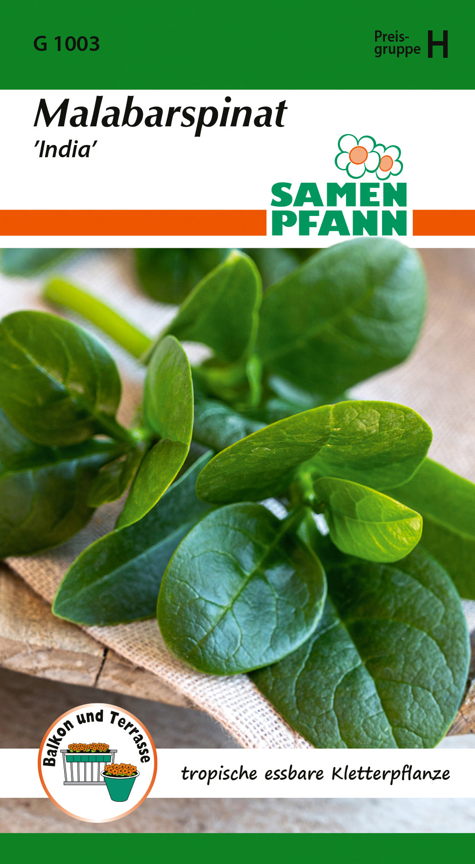 Samen Pfann Malabarspinat India