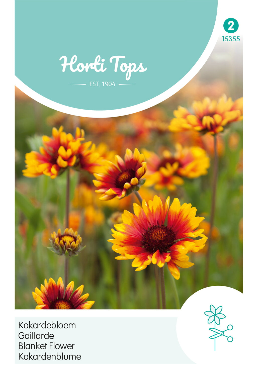 Horti Tops Kokardenblume Aristata großblütige Mischung
