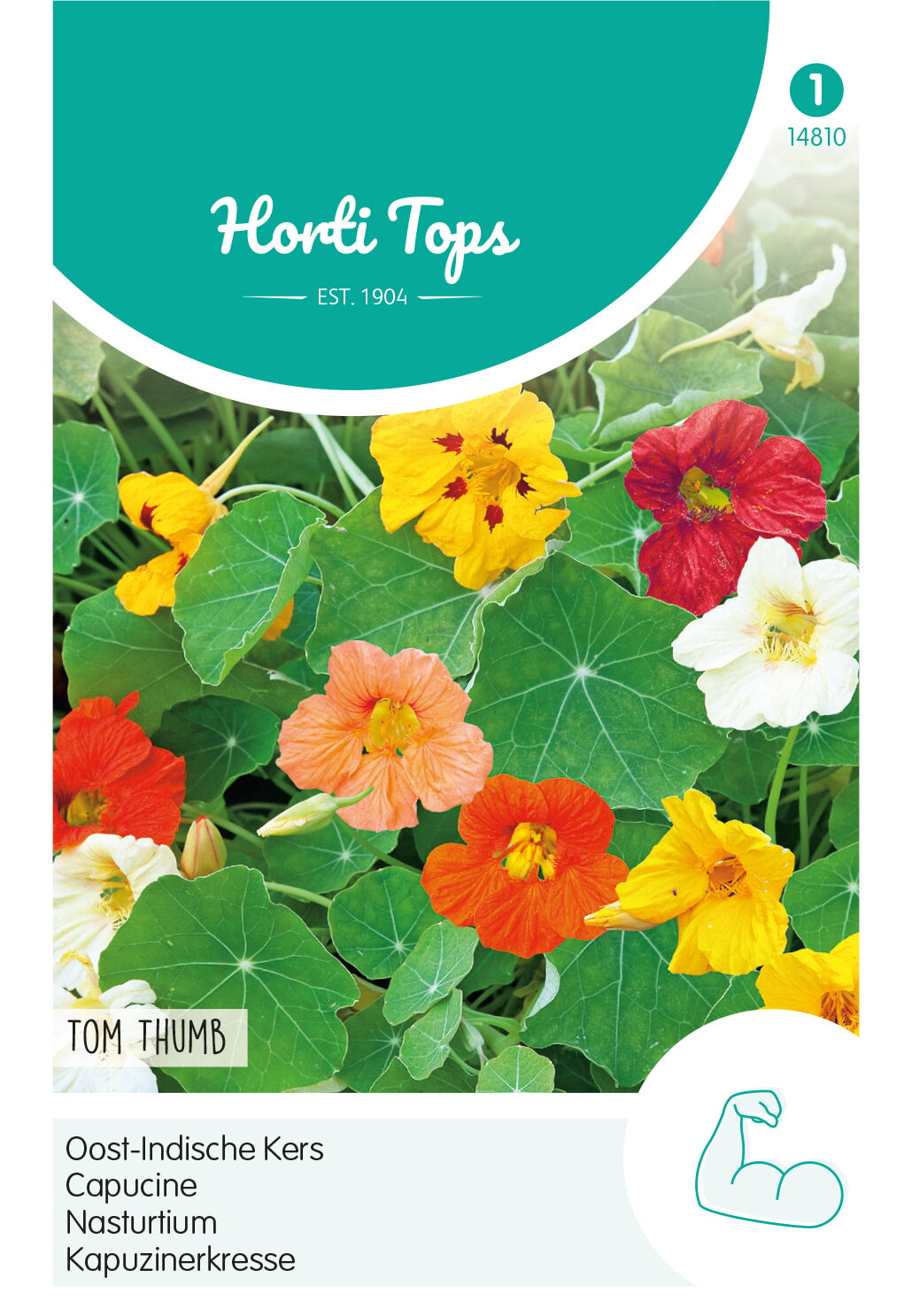 Horti Tops Kapuzinerkresse Tom Thumb Niedrige Mischung