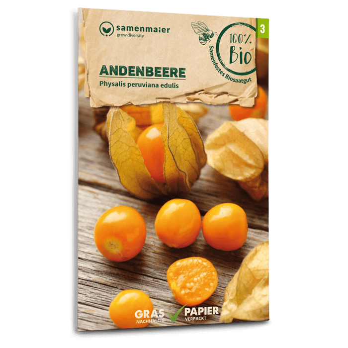 Samen Maier BIO Physalis Andenbeere