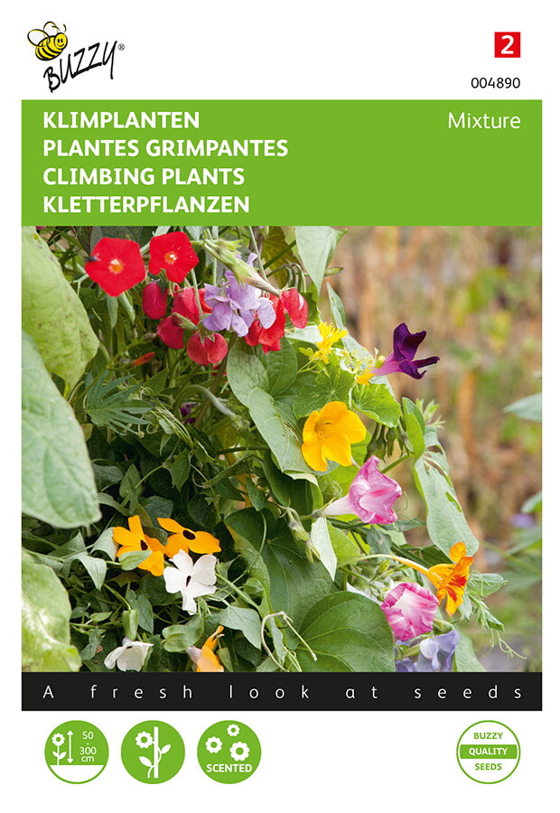 Buzzy Seeds Kletterpflanzen Mischung