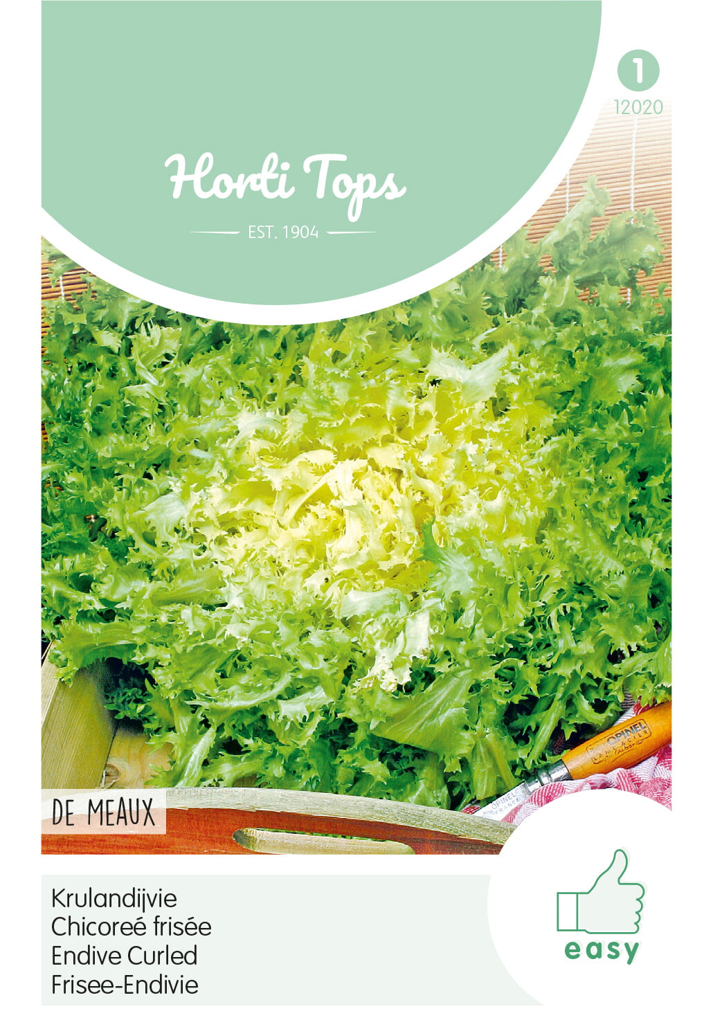 Horti Tops Frisée-Endivie de Meaux