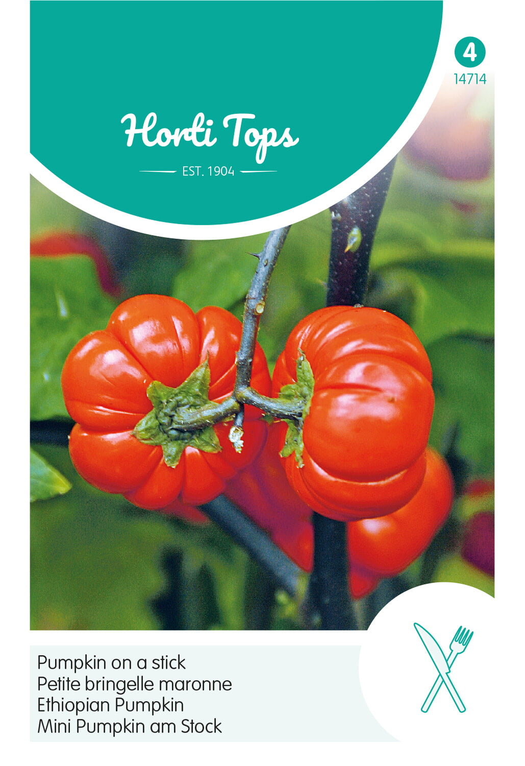 Horti Tops Äthiopische Eierfrucht Pumpkin on a Stick