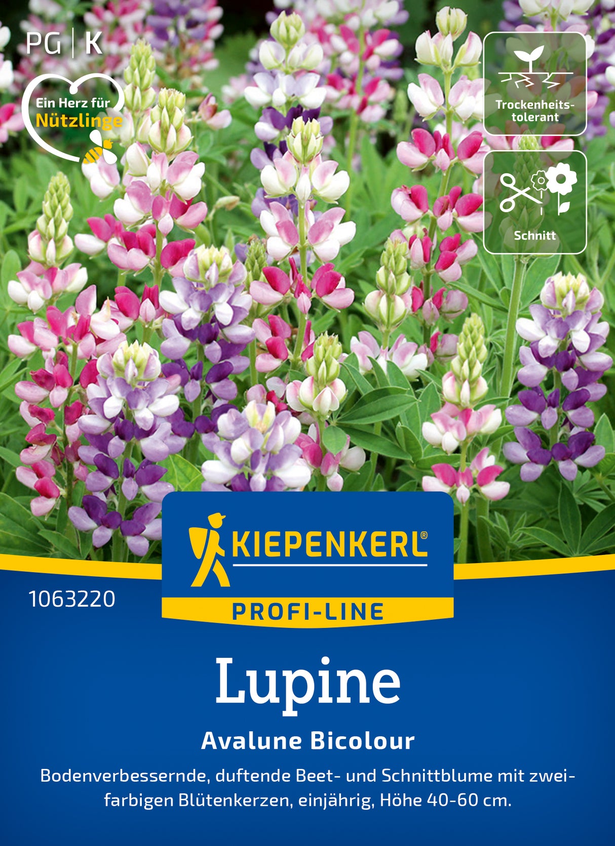 Kiepenkerl Lupinen Avalune Bicolour