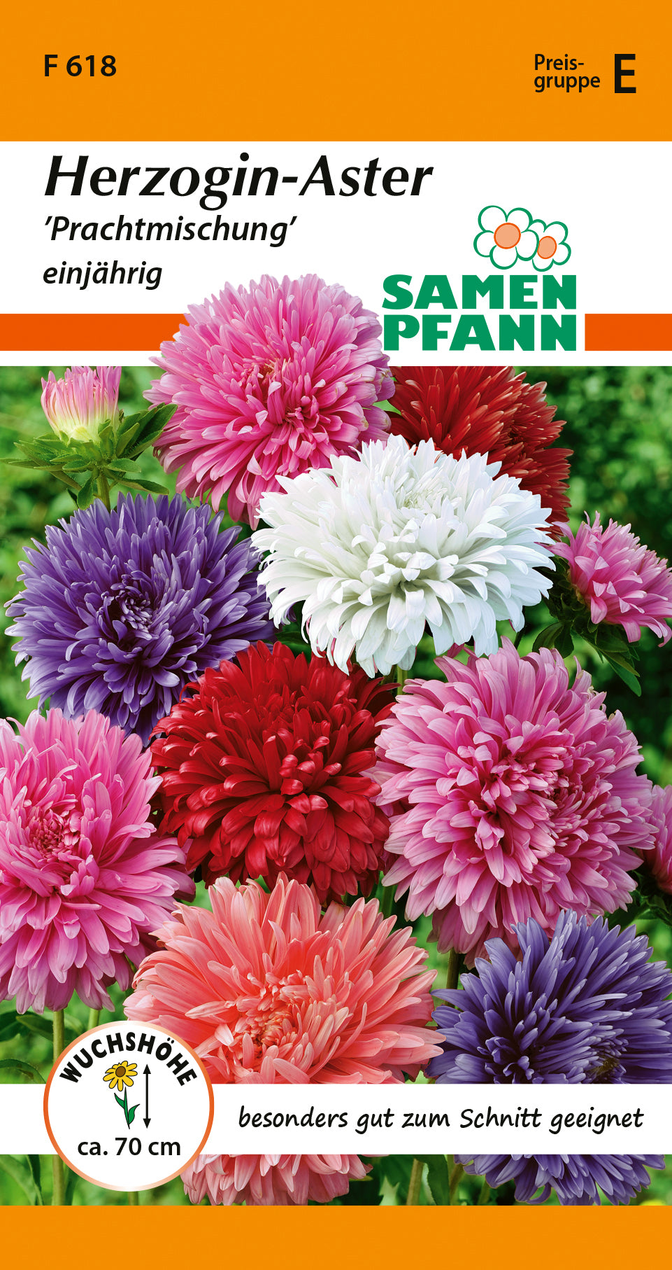 Samen Pfann Herzogin-Aster Prachtmischung einjährig