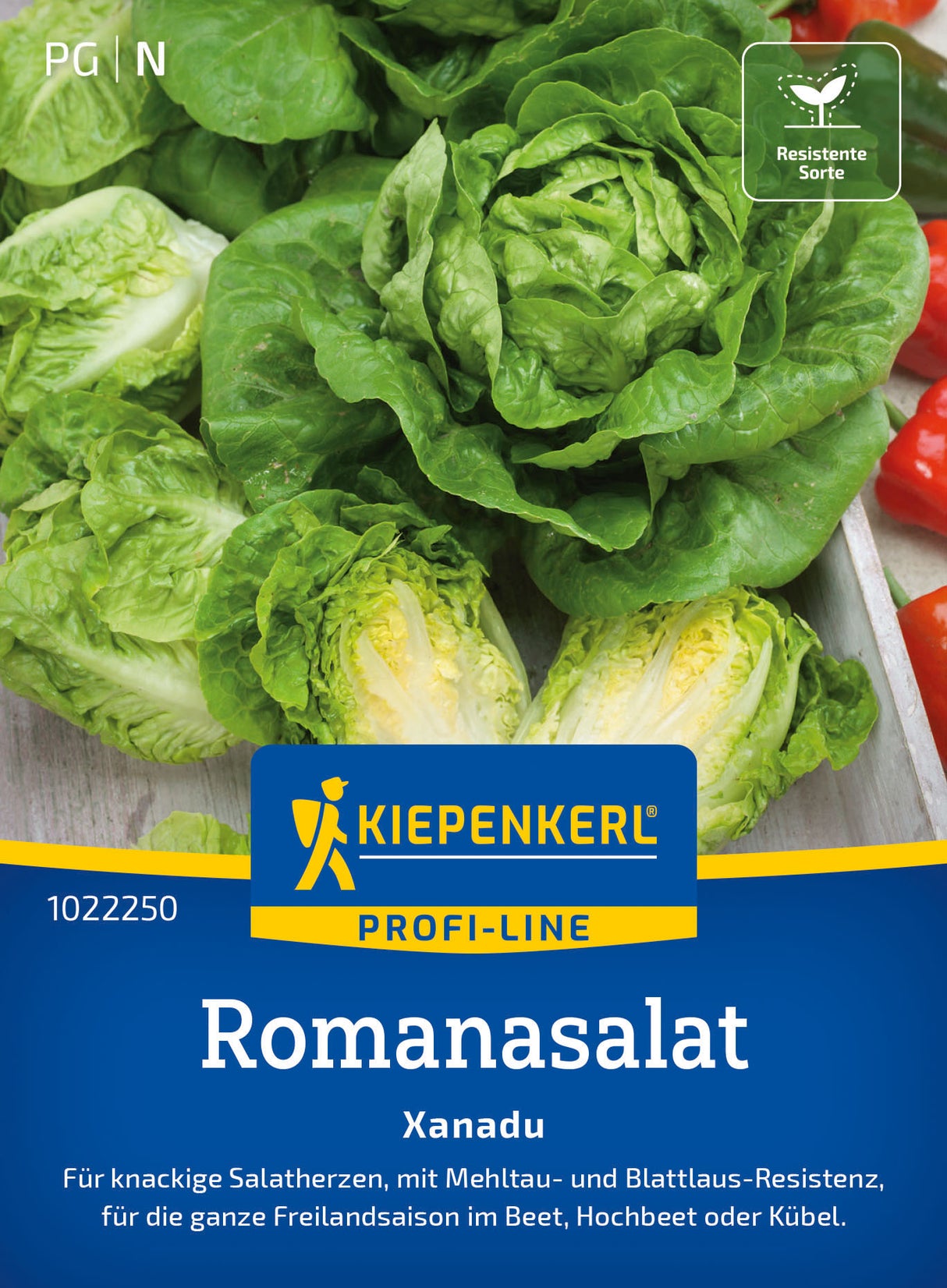 Kiepenkerl Kopfsalat Xanadu