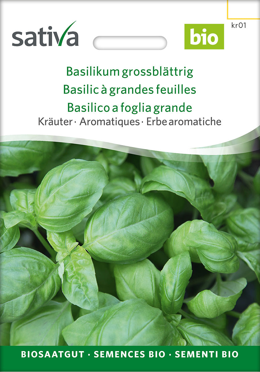Sativa Basilikum grossblättrig