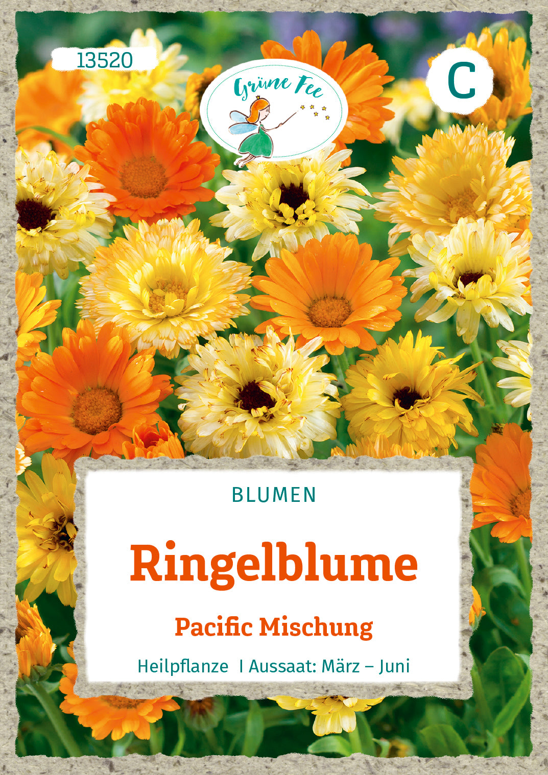 Grüne Fee Ringelblumen Pacific Beauty Mischung