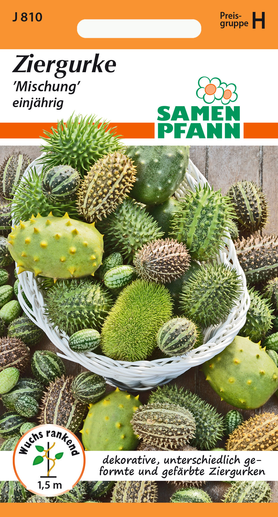 Samen Pfann Ziergurke Mischung einjährig