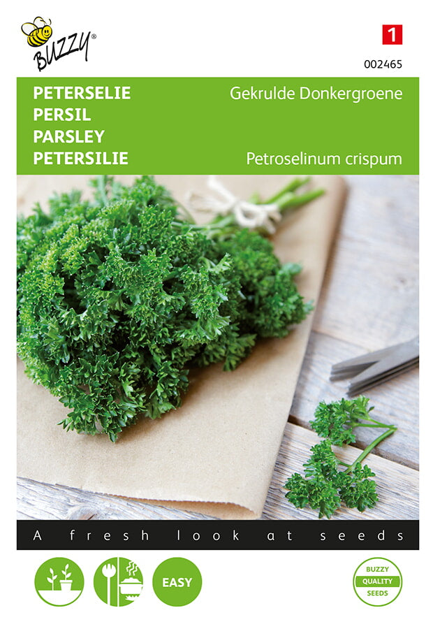 Buzzy Seeds Petersilien Mooskrause 2
