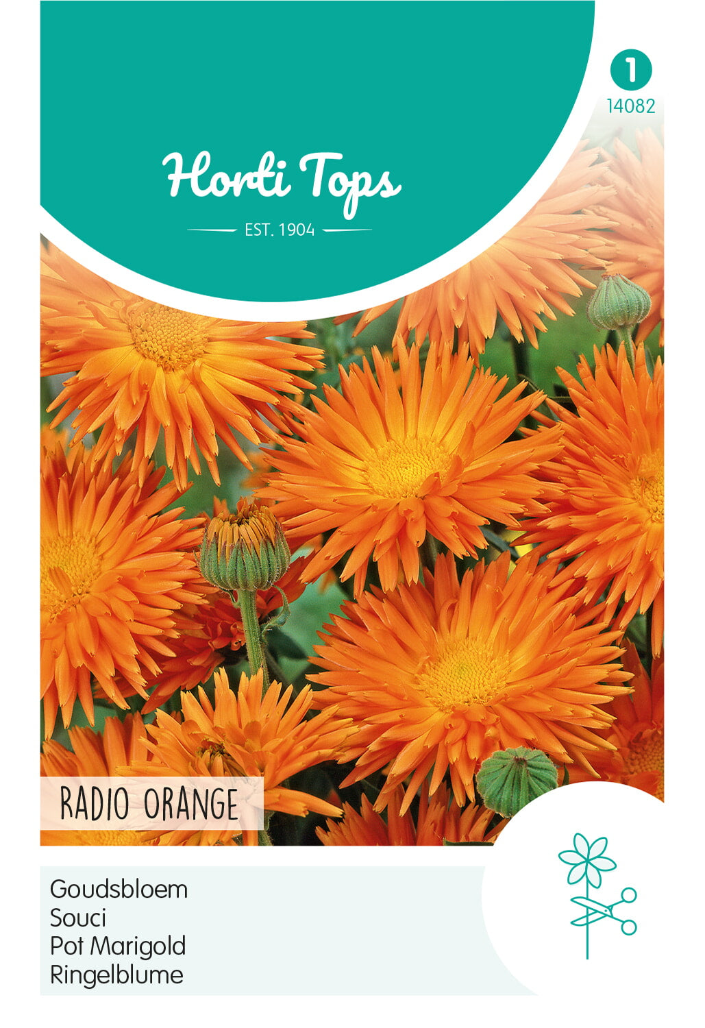Horti Tops Ringelblume Orange Strahlen