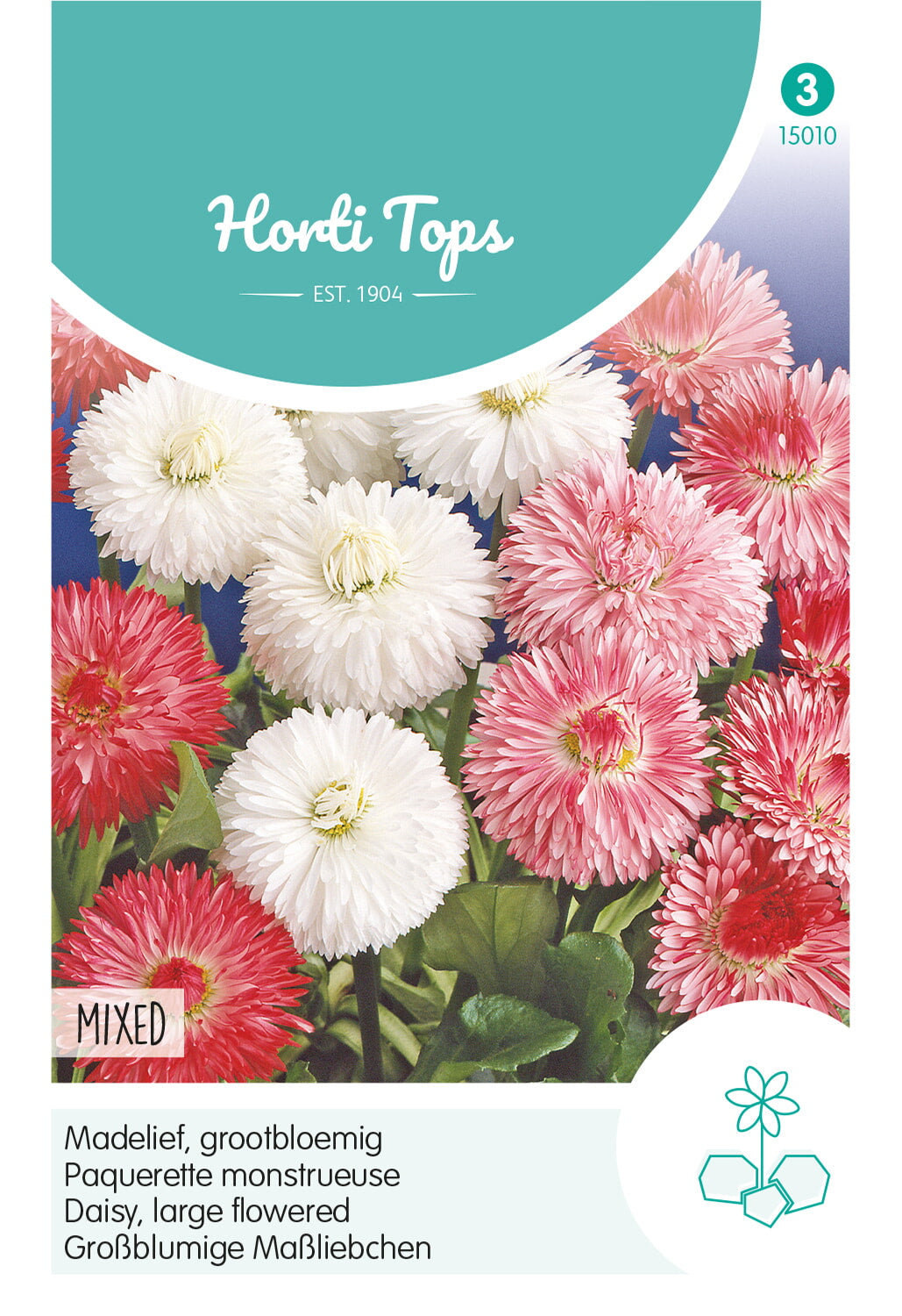 Horti Tops Gänseblümchen Perennis Monstrosa Gefüllte Mischung