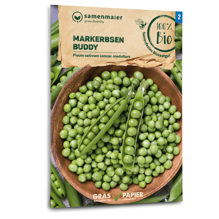Samen Maier BIO Markerbse Buddy