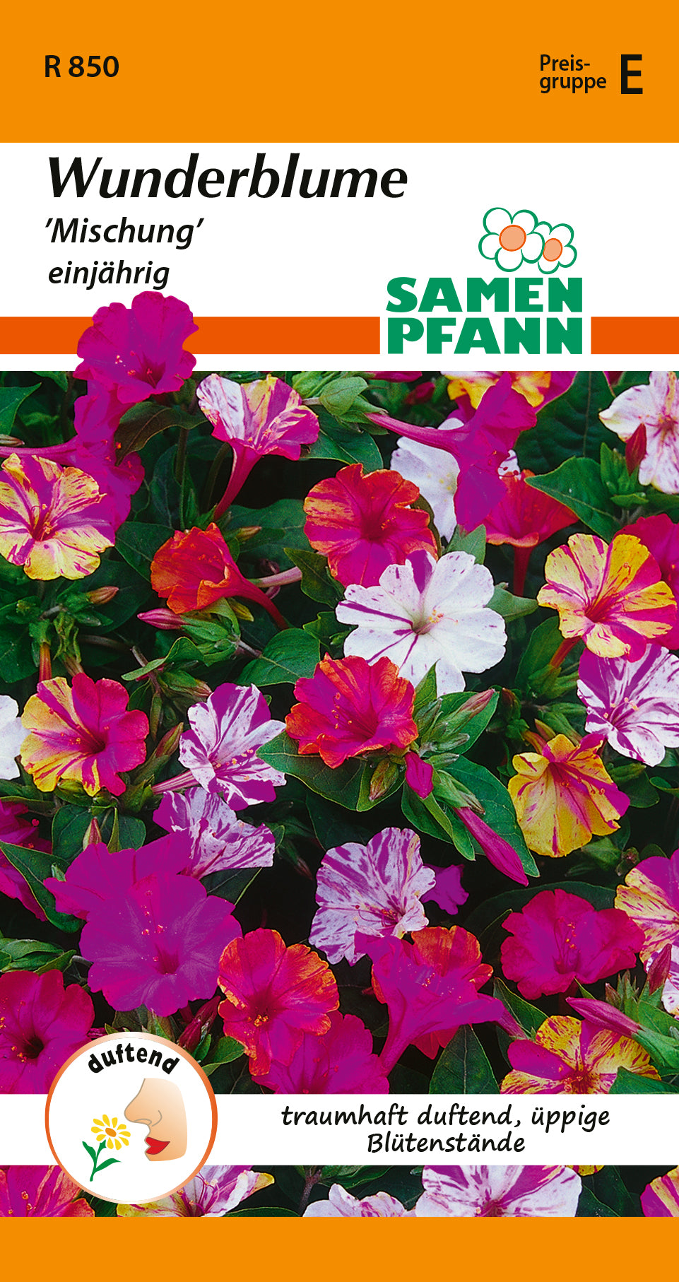 Samen Pfann Wunderblume Mischung