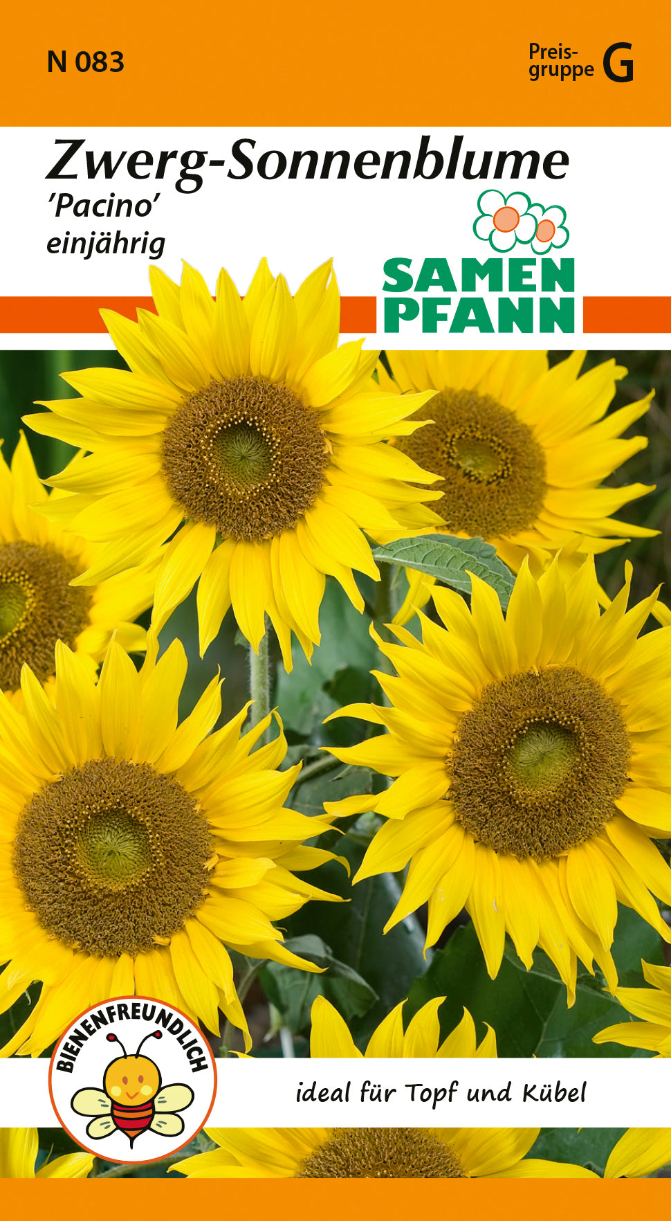 Samen Pfann Zwerg-Sonnenblume Pacino einjährig