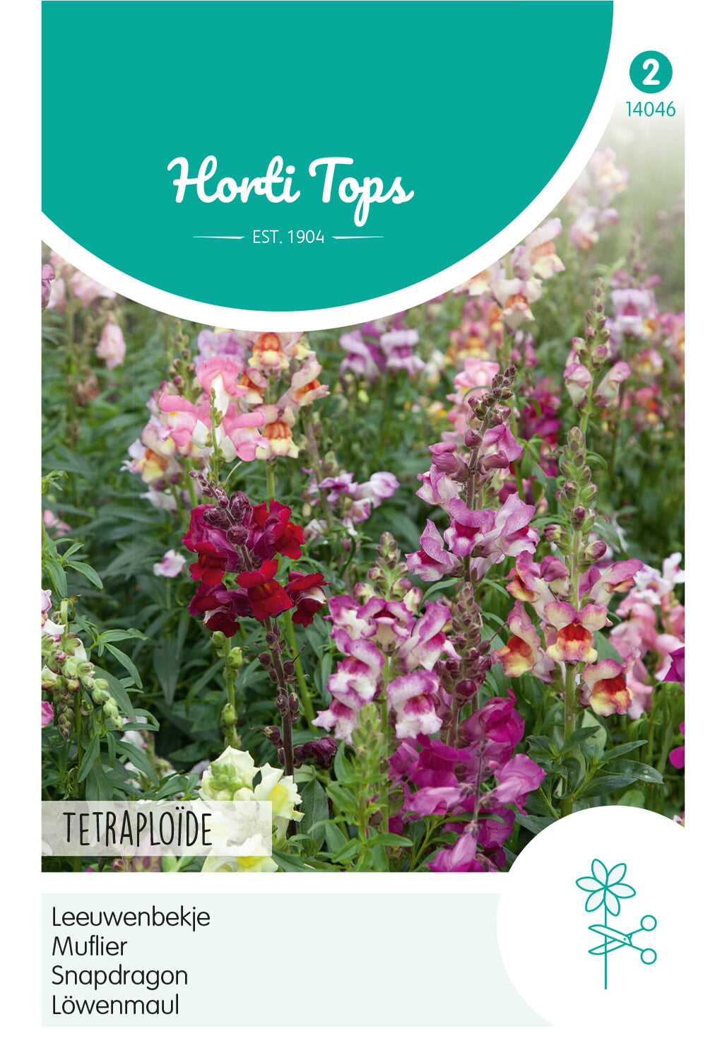 Horti Tops Löwenmäulchen Tetra Mischung