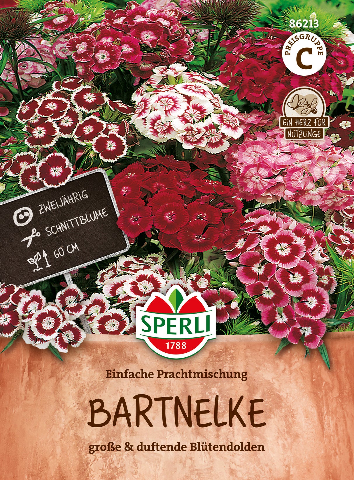 SPERLI Bartnelke Einfache Prachtmischung