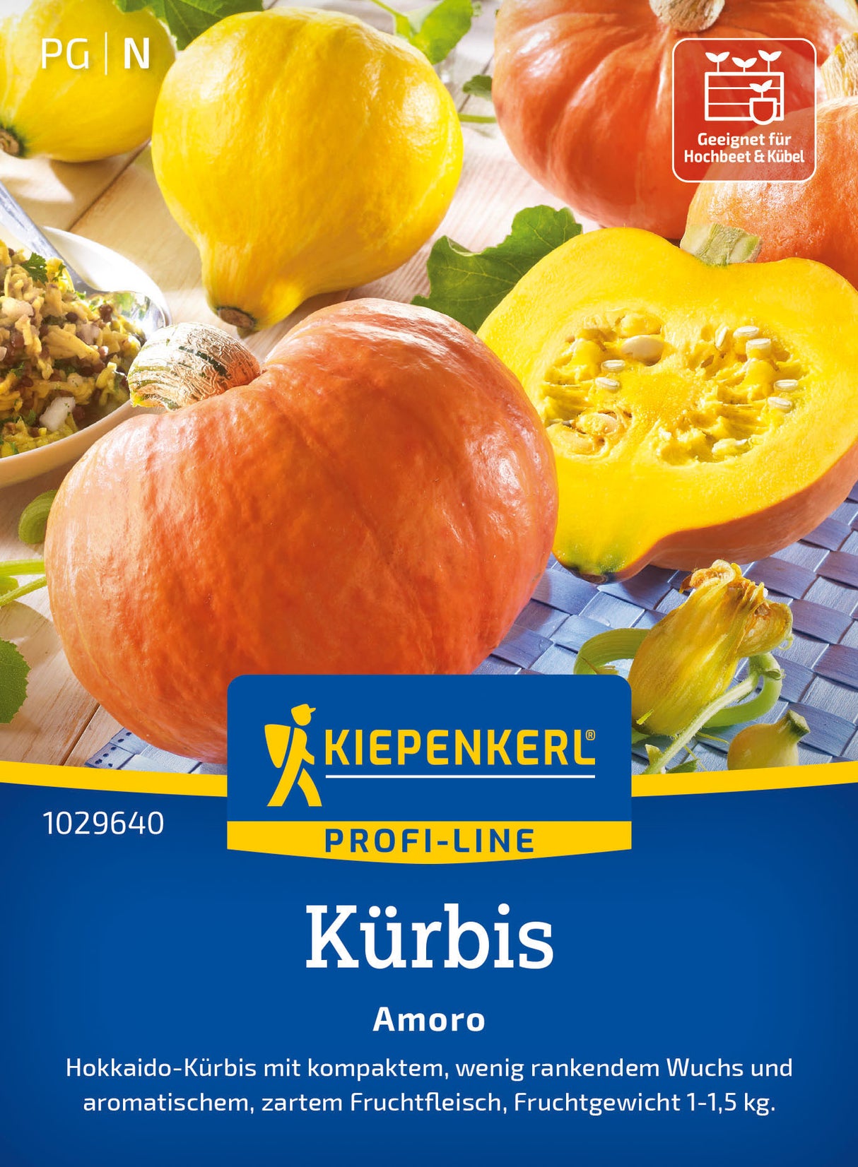 Kiepenkerl Kürbis Amoro